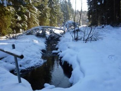 winter-buchenberg-rist